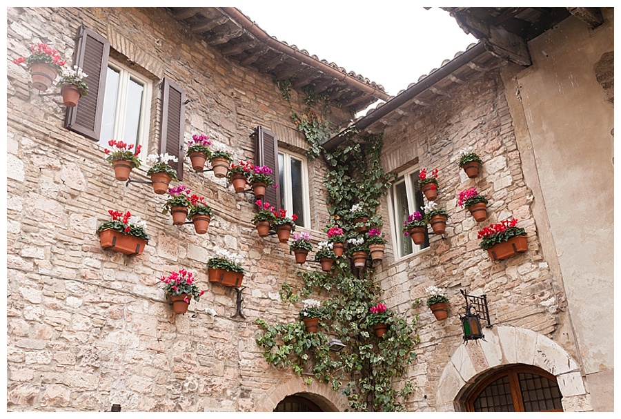 Potted Plants Assisi