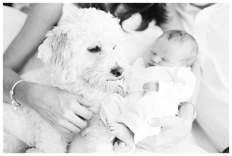 black and white newborn photography 
