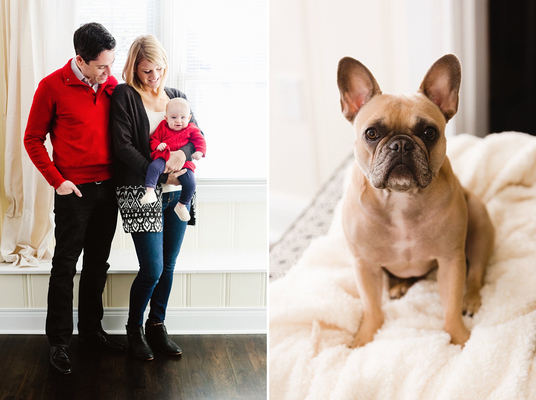 Greenville_NC_Family_Photography_Red_Holiday_Frenchie_0001