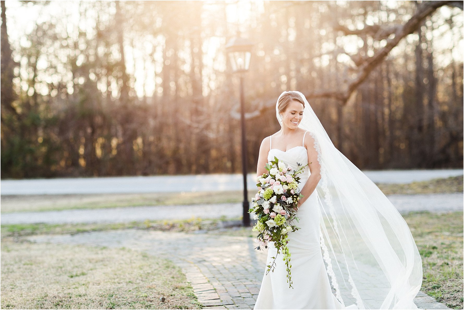 Classic Cathedral Veil Bridal Portraits in NC