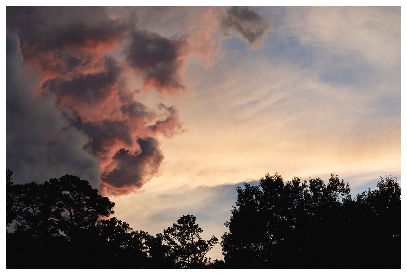 Washington Duke Inn Wedding Photographer